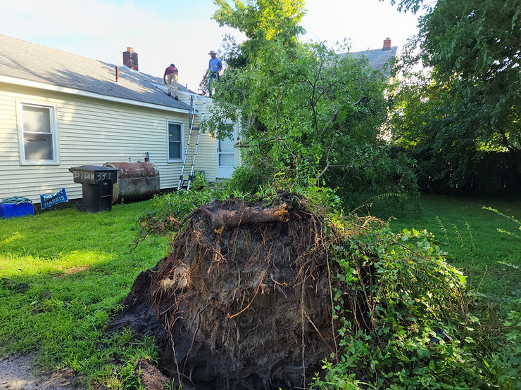 Used - Tree fell on top of a house in Salisbury MD. The house caused damaged so we helped the homeowner with their insurance claim.  