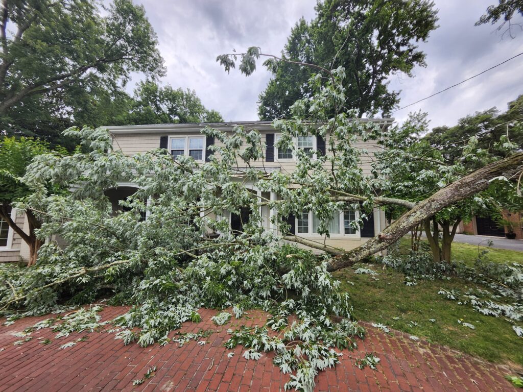 G and Bros Roofing Tree Fell On Roof wind Damage Storm Damage Salisbury MD Insurance Claim Assistant