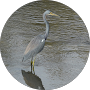 Used - Dave Owens G and Bros Roofing Google Review