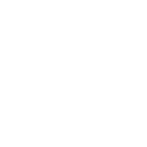 Used - Hammer in hand
