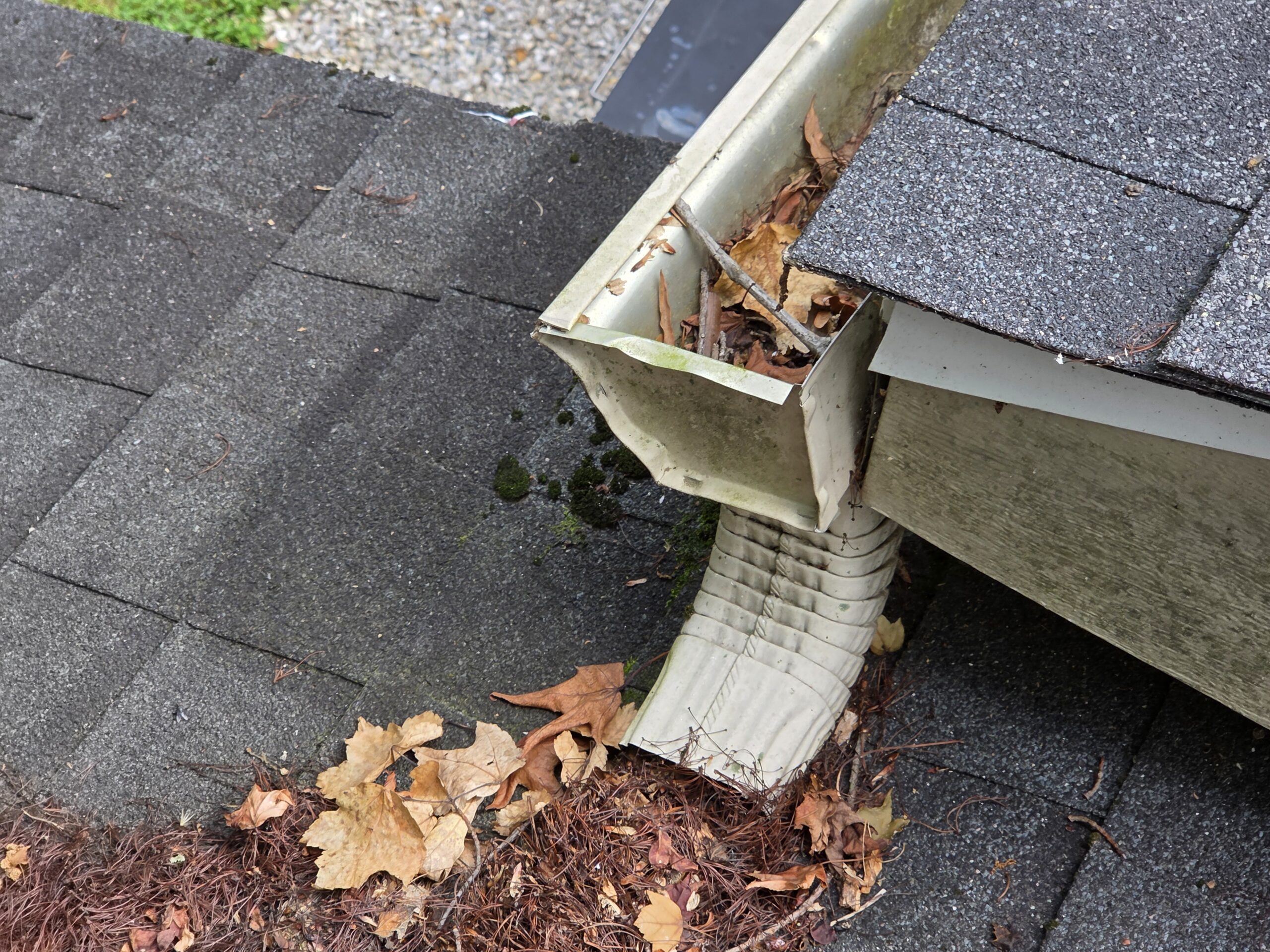 Used - Gutter Cleaning Services in Eastern Shore Area