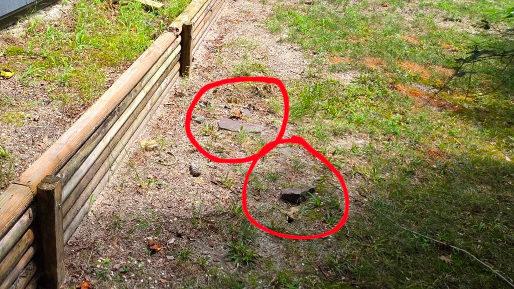 Used - A photo of torn asphalt shingles lying in the green grass. Salisbury MD G and Bros Roofing