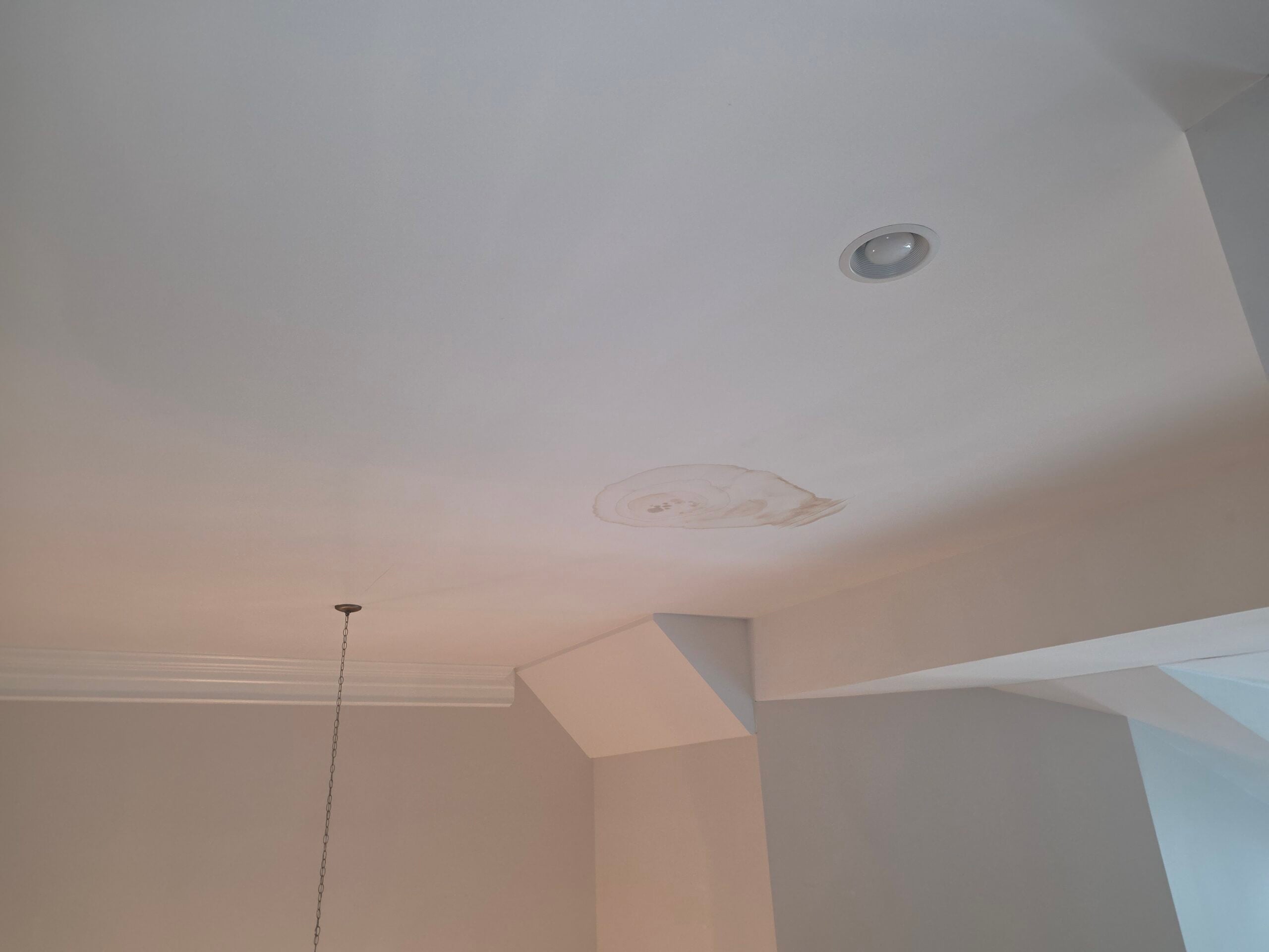 How to Spot a Roof Leak Before Water Hits Your Ceiling 3 | G and Bros Dark water staining on the underside of plywood roof decking seen from inside an attic