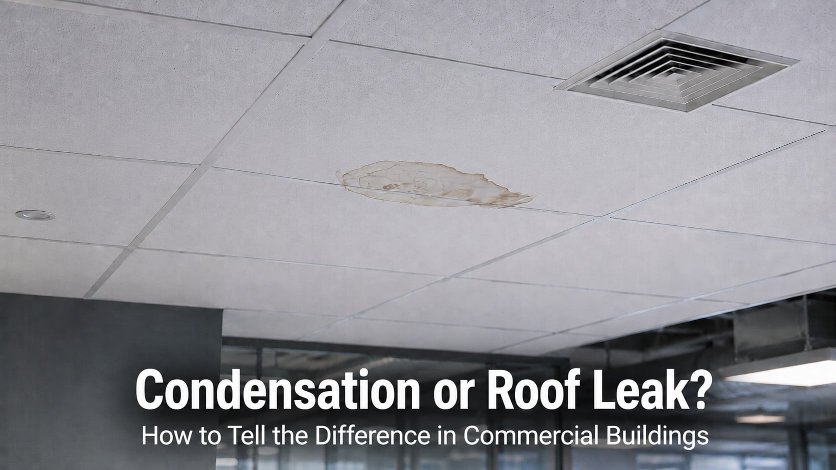 Used - Water-stained commercial ceiling tile illustrating condensation versus a roof leak in a Delmarva building