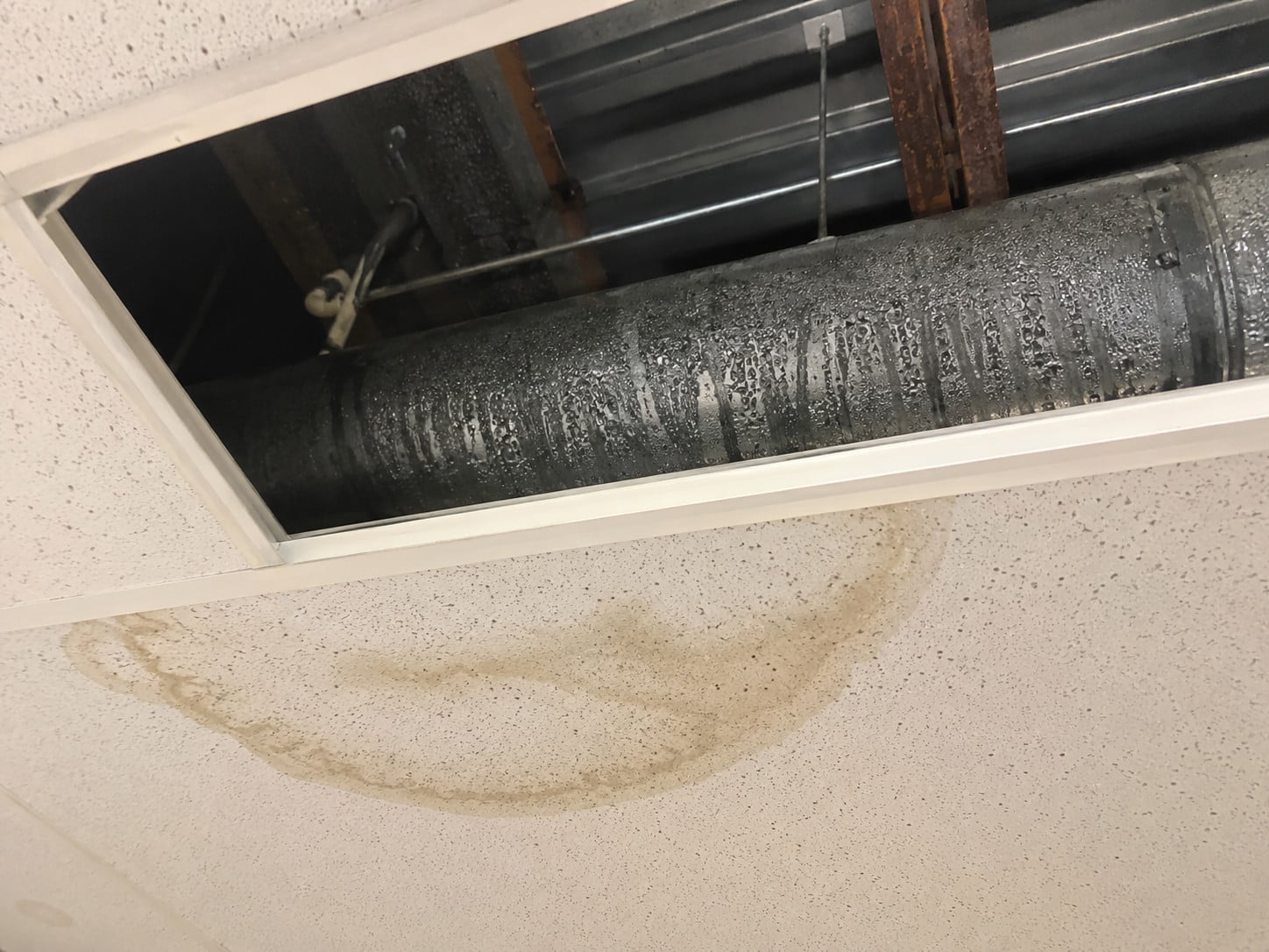 How Condensation Can Mimic Commercial Roof Leaks (And Cost You Money on the Wrong Fix) 2 | G and Bros Condensation buildup on HVAC ductwork above a commercial ceiling tile, mimicking a roof leak