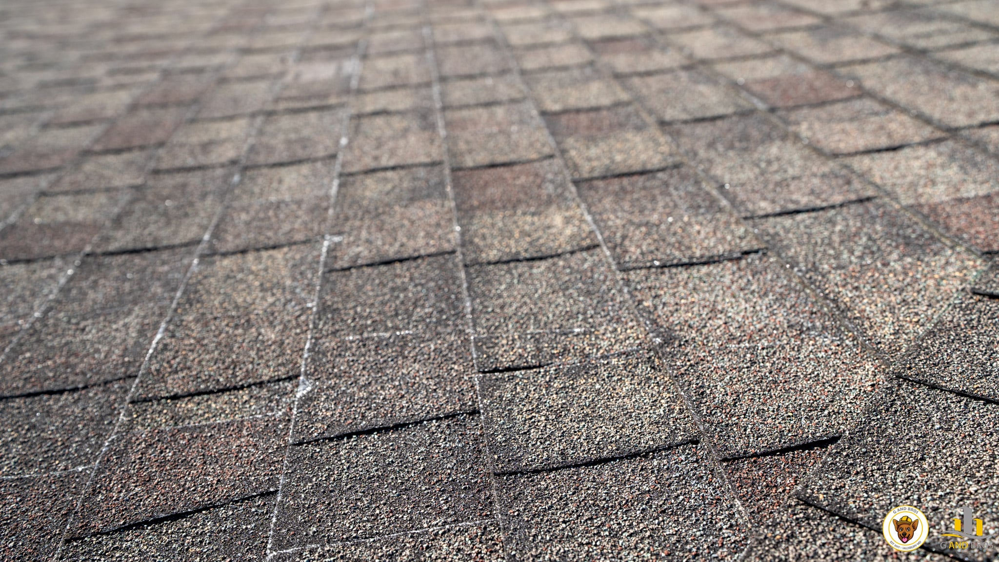 Close-up of weathered asphalt shingles on a residential roof in Salisbury, Maryland showing surface wear and visible granule loss

Title
