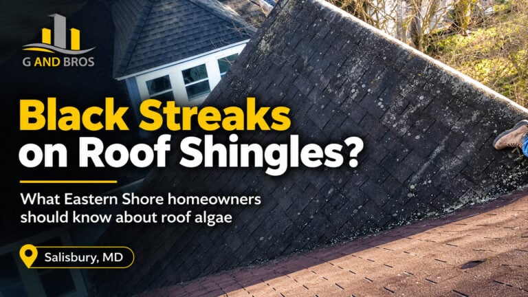Used - Close-up of dark algae streaks running vertically down weathered asphalt roof shingles in bright natural light.